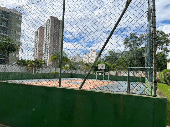Foto REO1128709