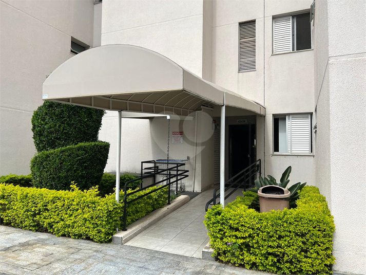 Foto REO1128709