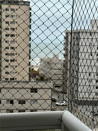 Foto REO1128748