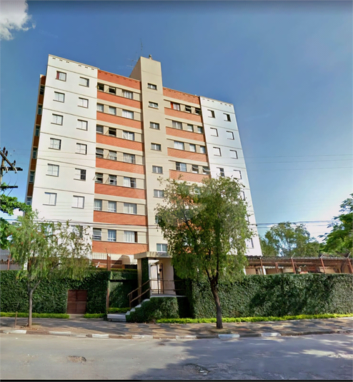Foto REO1128753