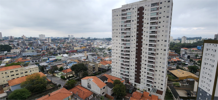 Foto REO1128769