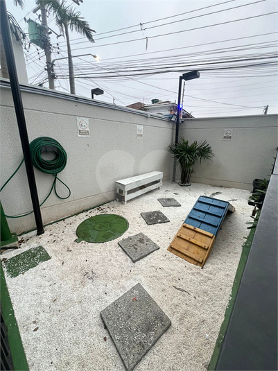 Foto REO1128773