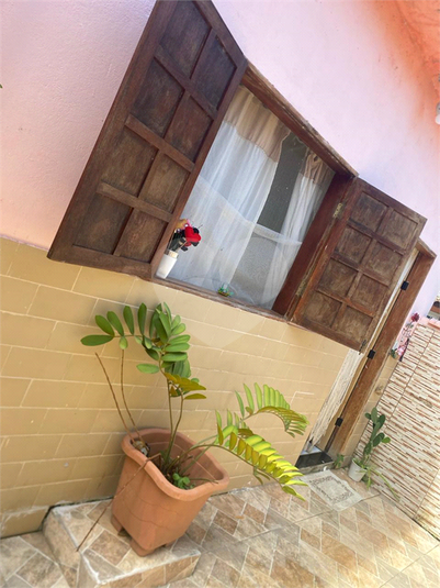 Foto REO1128781