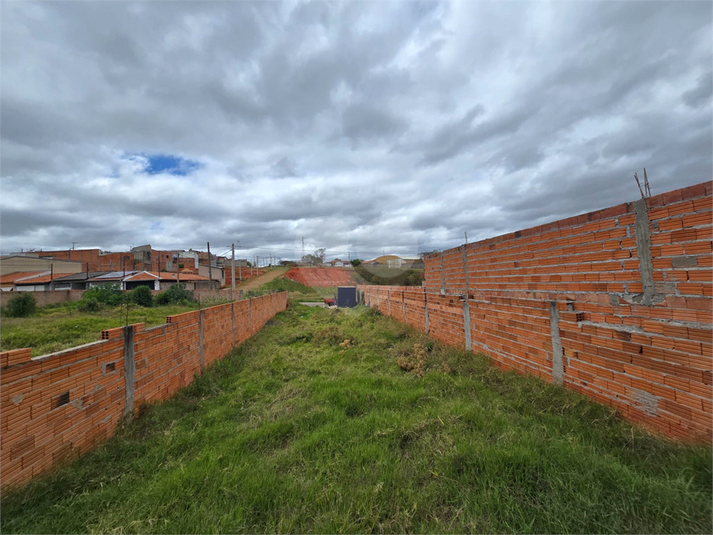 Foto REO1128808