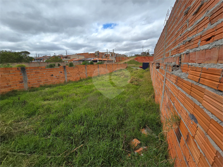Foto REO1128808