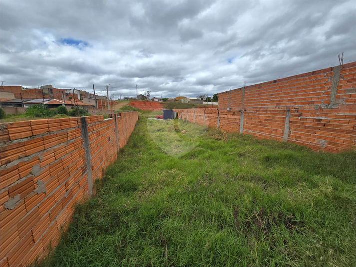 Foto REO1128808