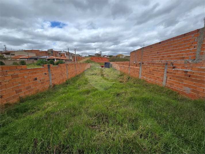 Foto REO1128808