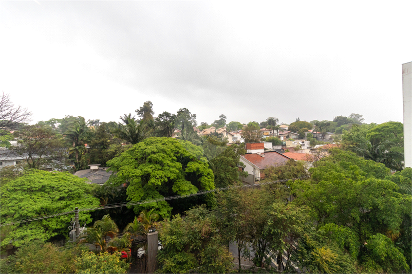 Foto REO1128854