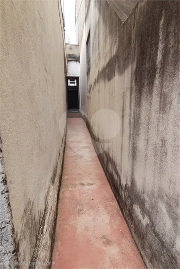 Foto REO1128864