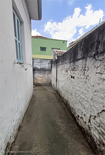 Foto REO1128864