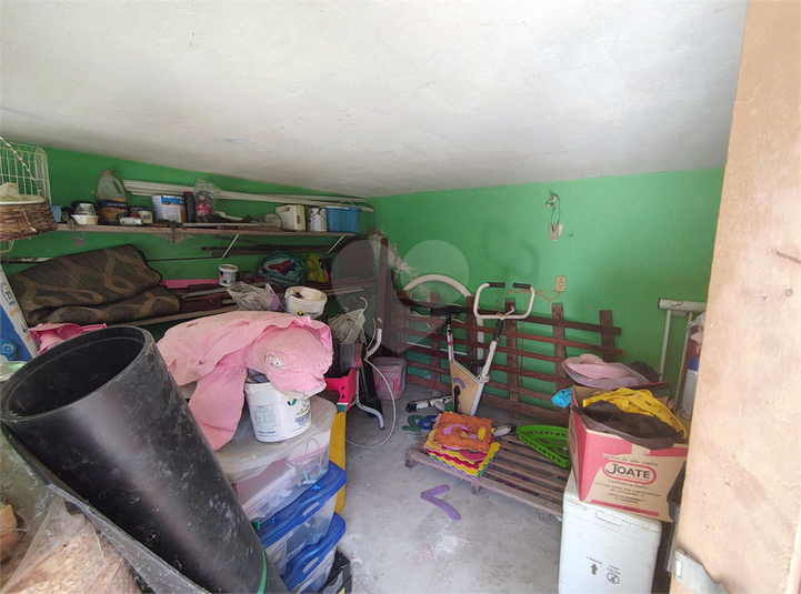 Foto REO1128867