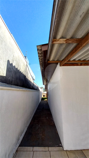 Foto REO1128869