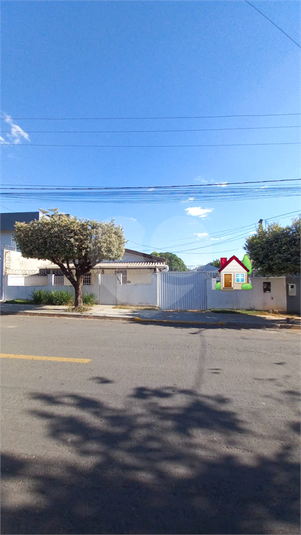 Foto REO1128869