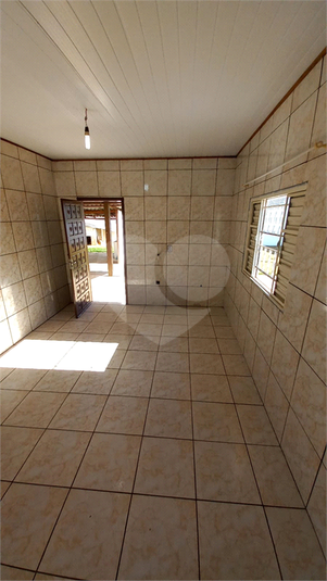 Foto REO1128869