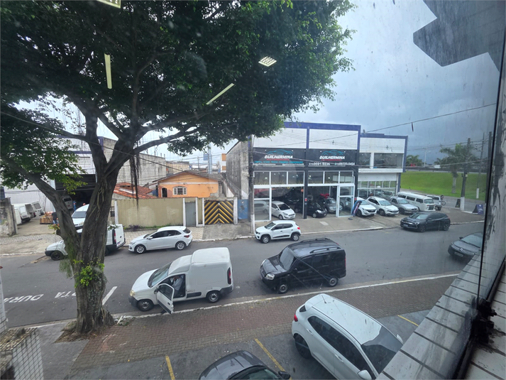 Foto REO1128871