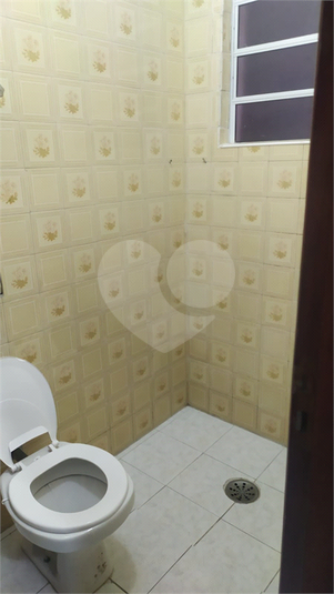 Foto REO1128874