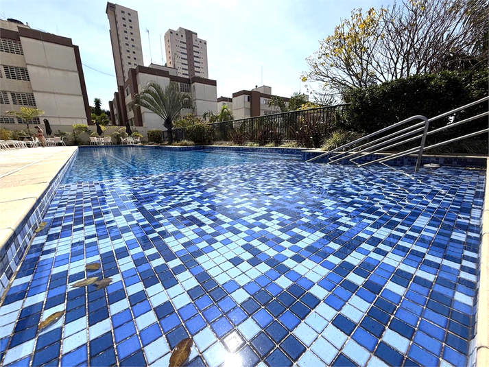 Foto REO1128876