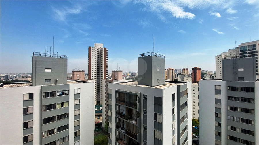 Foto REO1128878