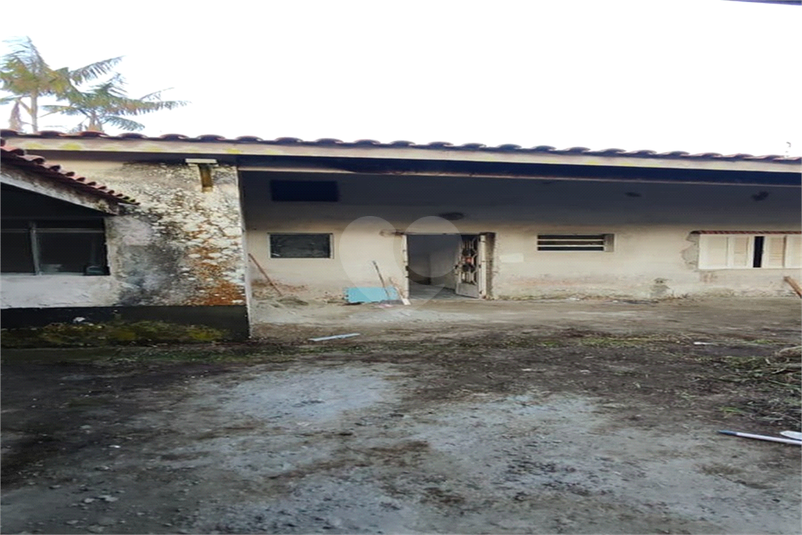 Foto REO1128908