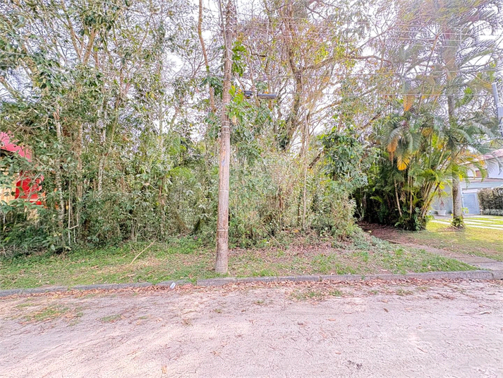 Foto REO1128957