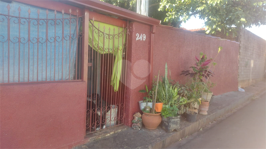 Foto REO1128973