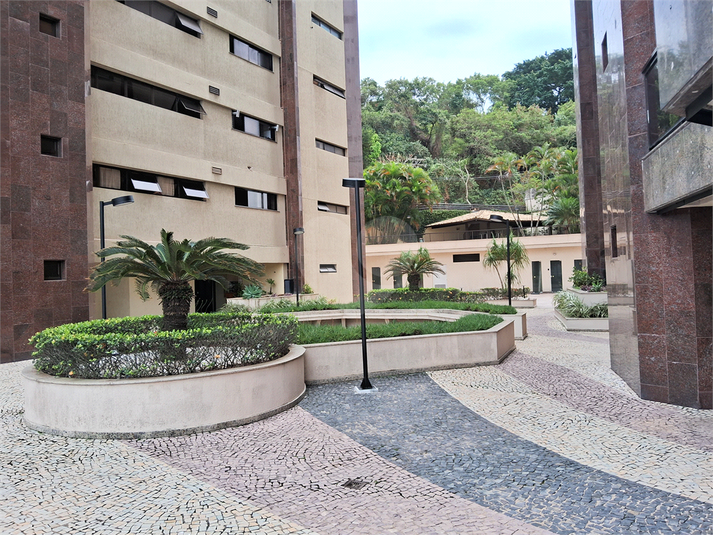 Foto REO1129022