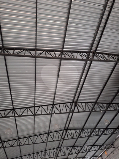 Foto REO1129062
