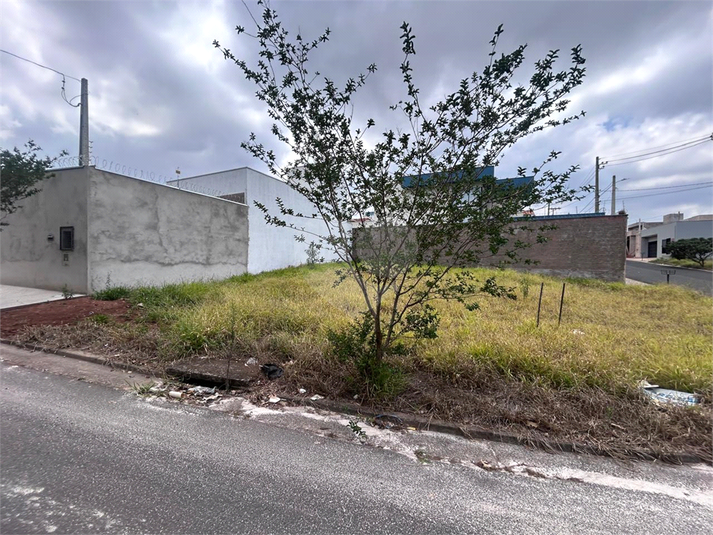 Foto REO1129082