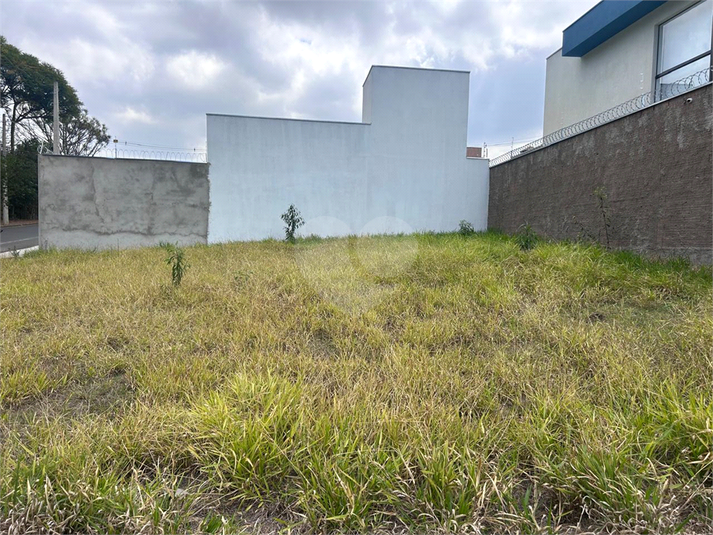 Foto REO1129082