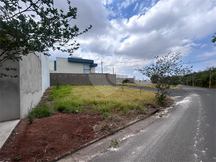 Foto REO1129082