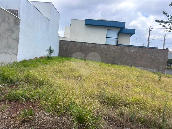 Foto REO1129082