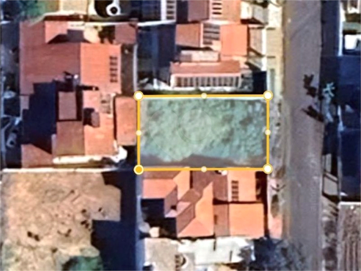 Foto REO1129106
