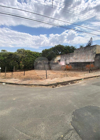 Foto REO1129124