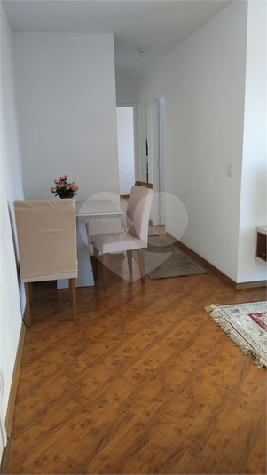 Foto REO1129151
