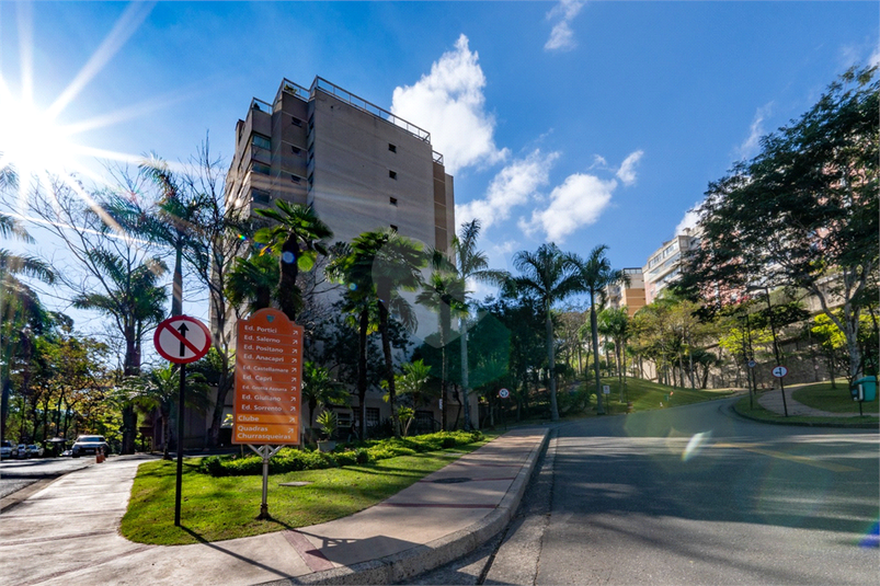 Foto REO1129154