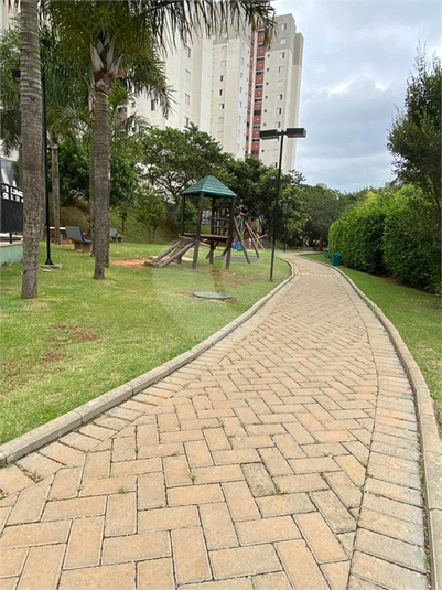Foto REO1129186