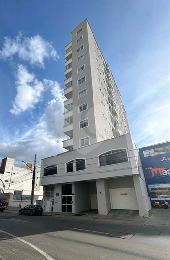 Foto REO1129187
