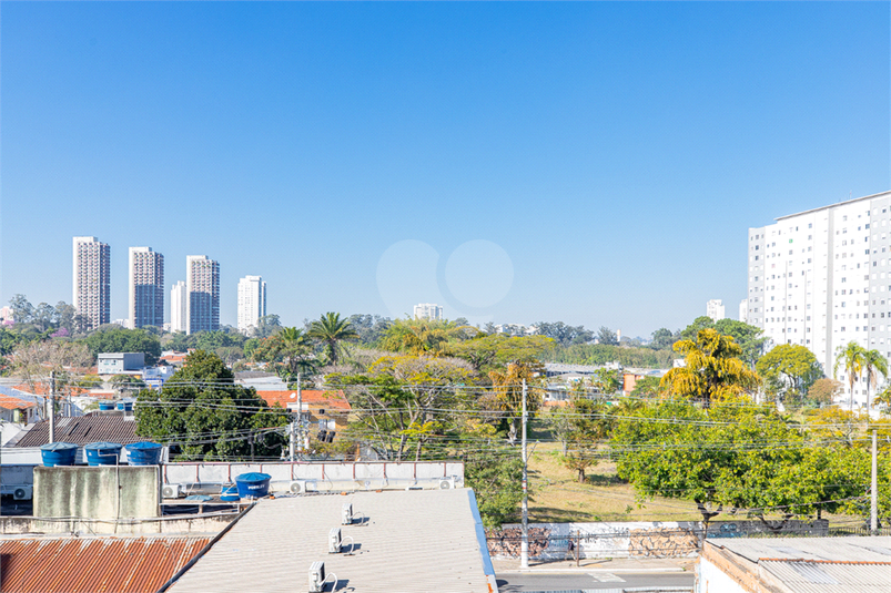Foto REO1129189