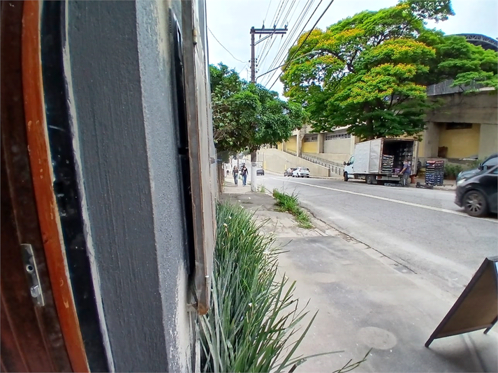 Foto REO1129216
