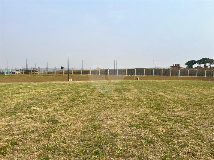 Foto REO1129221
