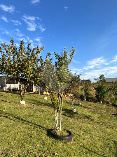 Foto REO1129231