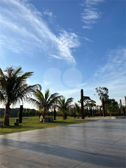 Foto REO1129231