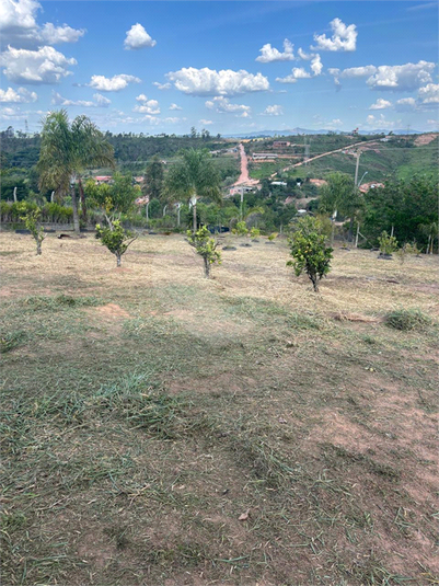 Foto REO1129231