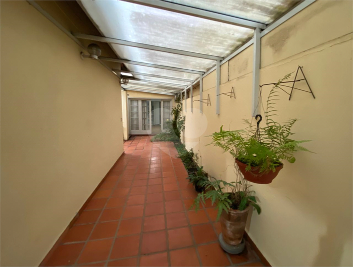 Foto REO1129251