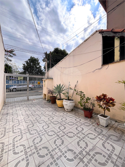 Foto REO1129266