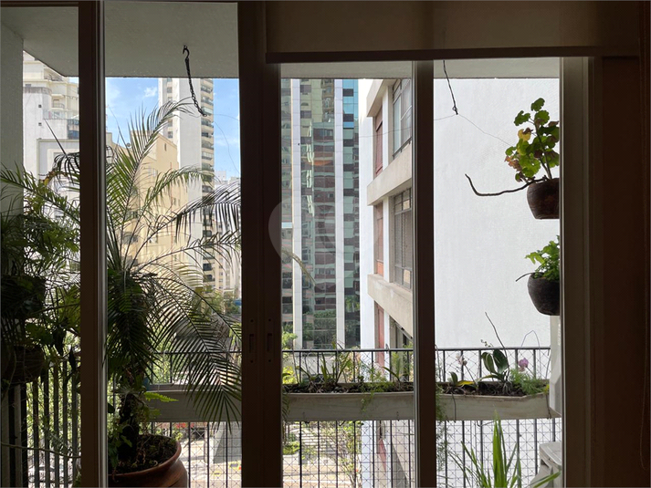 Foto REO1129280