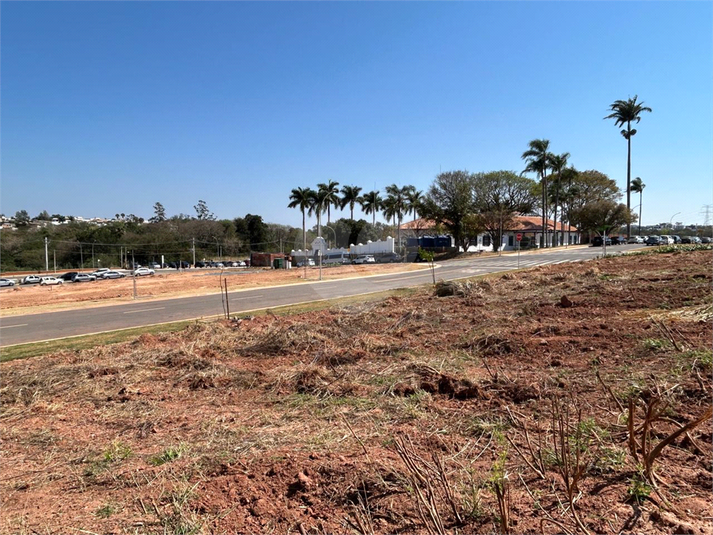 Foto REO1129286