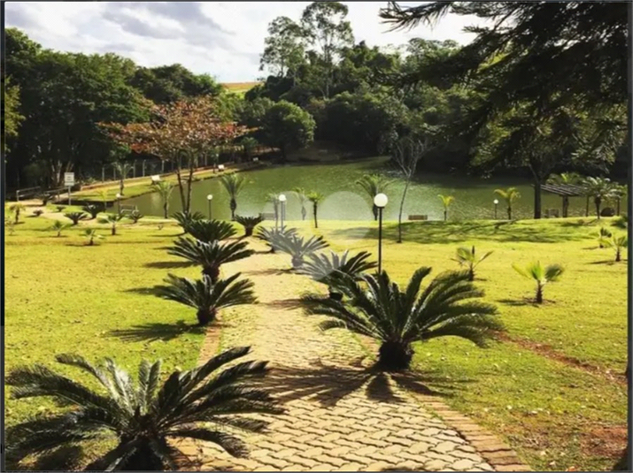 Foto REO1129299