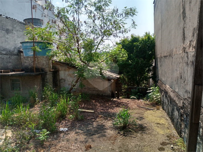 Foto REO1129301