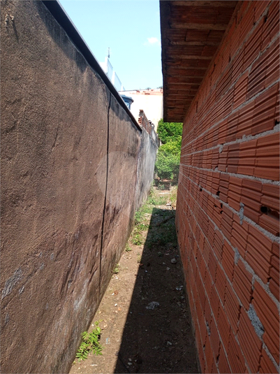 Foto REO1129301